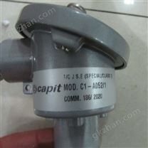 Capit熱電阻Capit溫度傳感器經銷商