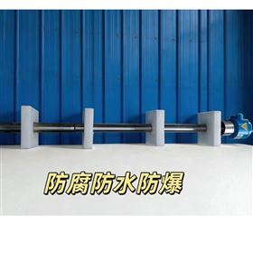 垃圾发电厂防腐型氧化锆氧量分析仪