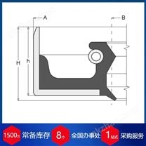 意大利FP ATS高壓油封