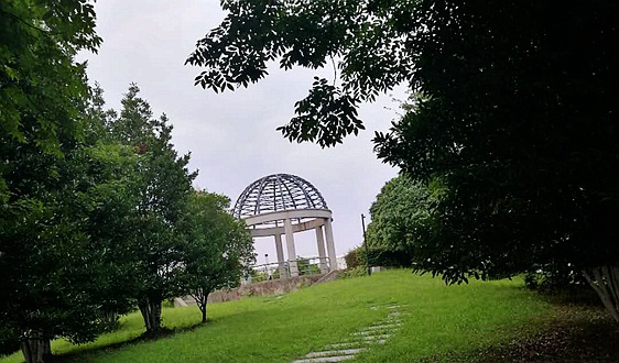 专家解读 | 聚焦“源头”精准施策 让数字经济创新型企业跑出加速度——解读《关于加强数字经济创新型企业培育的若干措施》