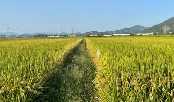 【权威解读】魏锋华：前三季度农业经济形势稳中向好