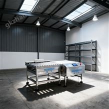 SG-600配重鐵鑄件48kg動態稱重分選機在線檢測機