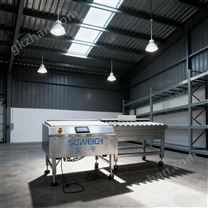 鋼筋混凝土井圈49.8kg動態(tài)稱重在線檢重機(jī)