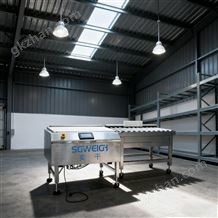 SG-600鋼筋混凝土井圈49.8kg動(dòng)態(tài)稱重在線檢重機(jī)