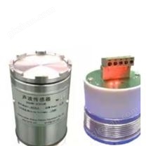 鍋爐爐管泄漏在線監(jiān)測(cè)系統(tǒng)