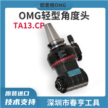 OMG 轻型角度头TA13.CP数控加工侧铣头
