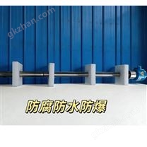 垃圾發(fā)電廠防腐型氧化鋯氧量分析儀