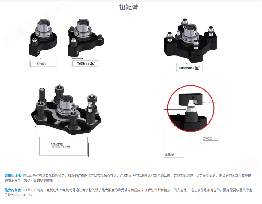 意大利OMG TAL26.40角度頭重型側銑頭