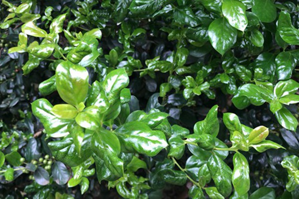 《国家工业资源综合利用先进适用工艺技术设备目录(2025年版)》供需对接指南之四：钢铁冶金渣综合利用工艺技术设备