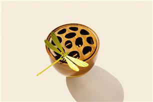 常州經(jīng)開區(qū)：厚植綠色能源優(yōu)勢，競逐新能源產(chǎn)業(yè)新賽道