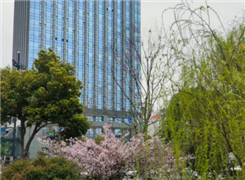 《关于推进服务业扩能提质的意见》印发