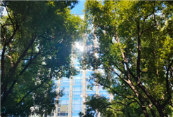 湖北省数据资源供需对接会（健康医疗专场）在汉顺利举办