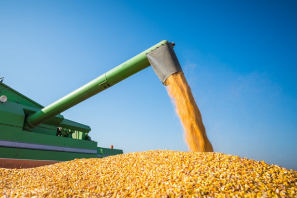 最高补贴12万元！厦门市大力推进粮食烘干设施设备推广应用