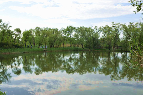 《四川省構(gòu)建全周期全流程綠色制造體系行動(dòng)方案》印發(fā)